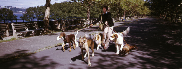 男たちのシネマ愛ZZ⑦】『MOVE』｜洋画専門チャンネル ザ・シネマ