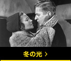 冬の光