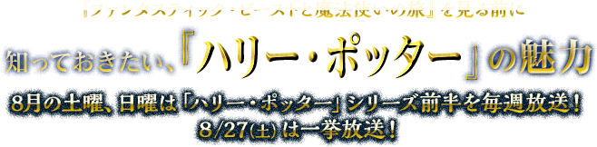 『ファンタスティック・ビーストと魔法の旅』を見る前に知っておきたい、『ハリー・ポッター』の魅力　8月の土曜、日曜は「ハリー・ポッター」シリーズ前半を毎週放送！8/27(土)は一挙放送！