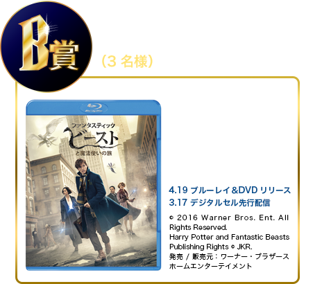 B賞