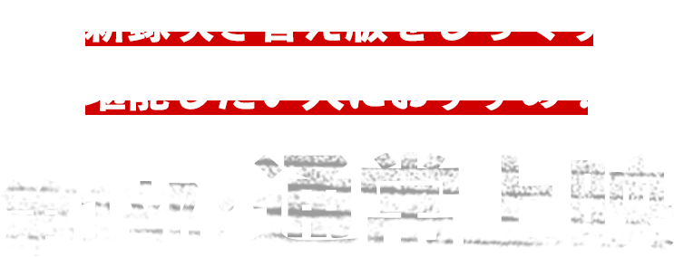 新録吹き替え版をじっくり堪能したい人におすすめ！第1部：通常上映