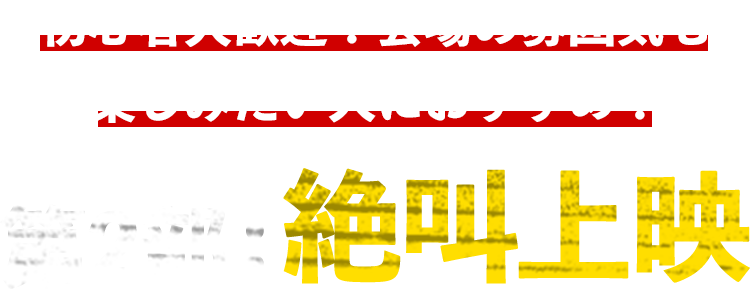 初心者大歓迎！会場の雰囲気も楽しみたい人におすすめ！第2部：絶叫上映