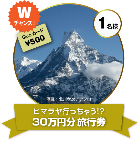 ヒマラヤ⾏っちゃう!? 30万円分旅⾏券…1名様