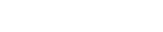 園崎未恵