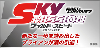 レーシングチャンピオン ワイルドスピード マイアミ市警察 レーシング